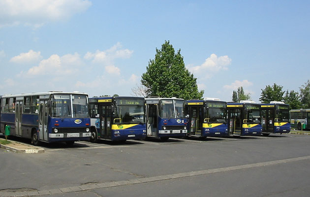 Jövő hét csütörtökig érdemes lesz forgatni a Kresz könyvet, hiszen a megszerzett tudással akár még autóbuszvezetést is lehet nyerni