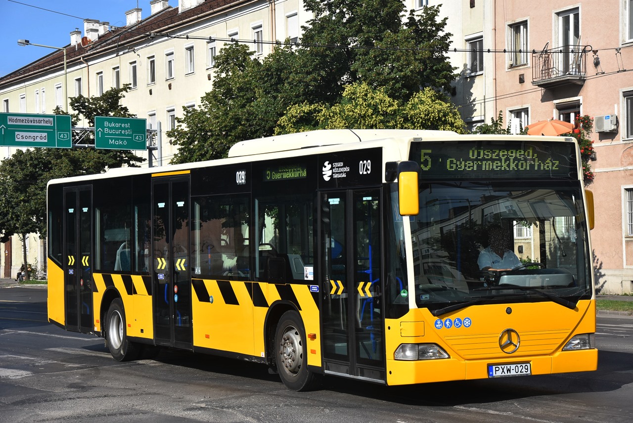 Szóló társuk a júliusi trolibuszpótláson kezdte meg küldetését