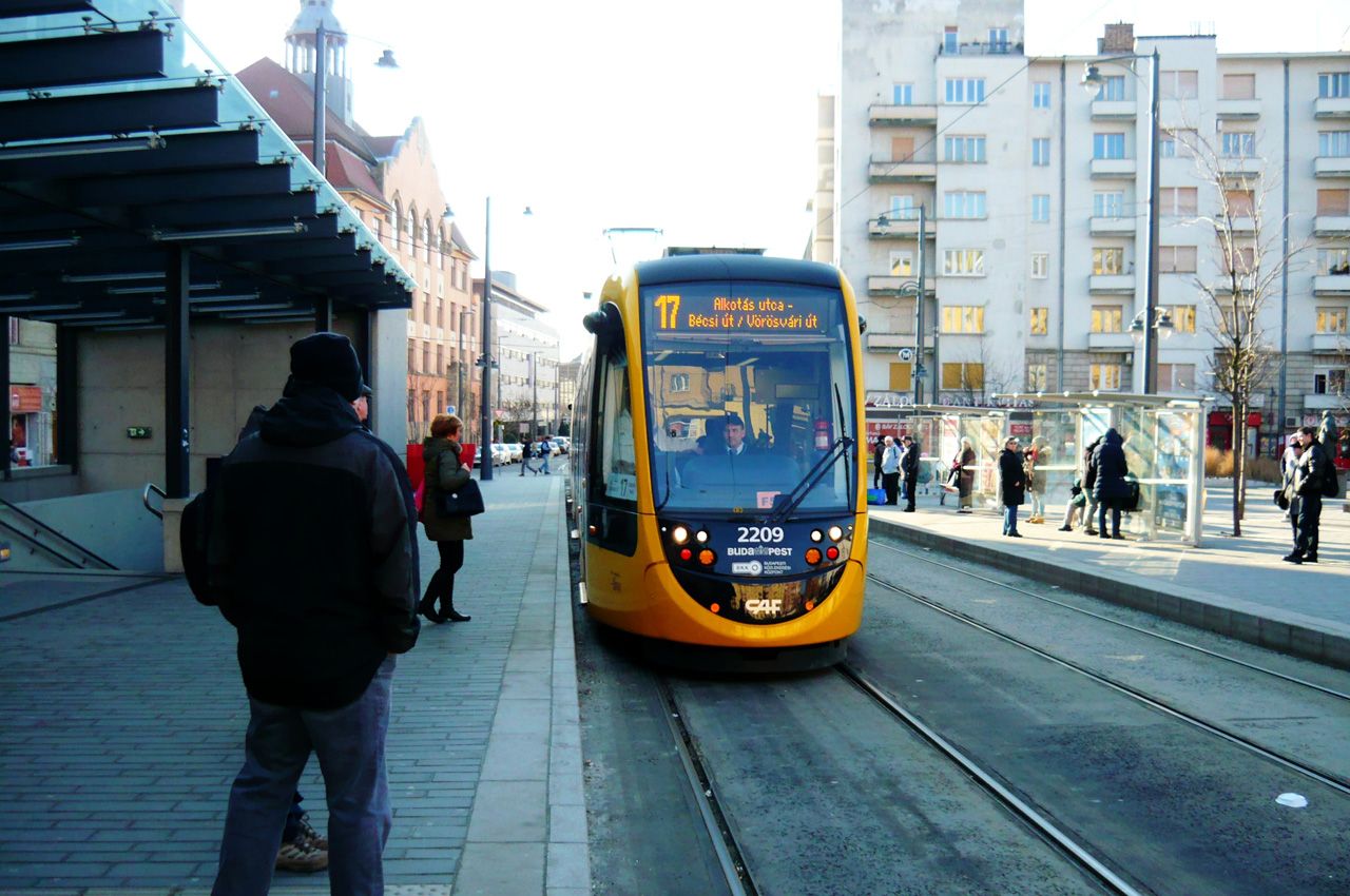 Nézze meg, kik, milyen képeket küldtek eddig! Az öné is bekerülhet ebbe a galériába! (fotó: Lengyel László)