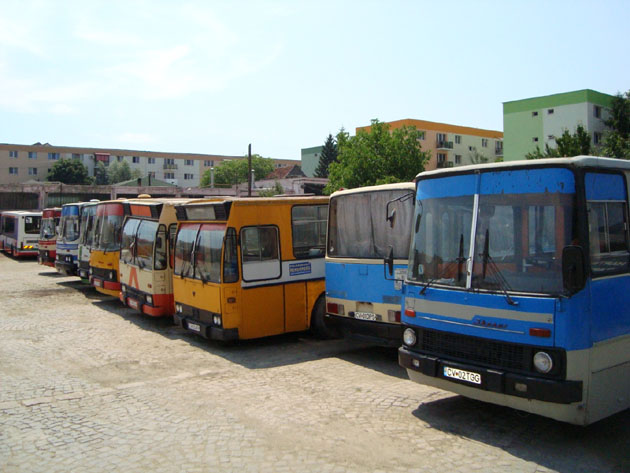 A “dögsor”. A buszok egy kivételével mind műküdőképesek