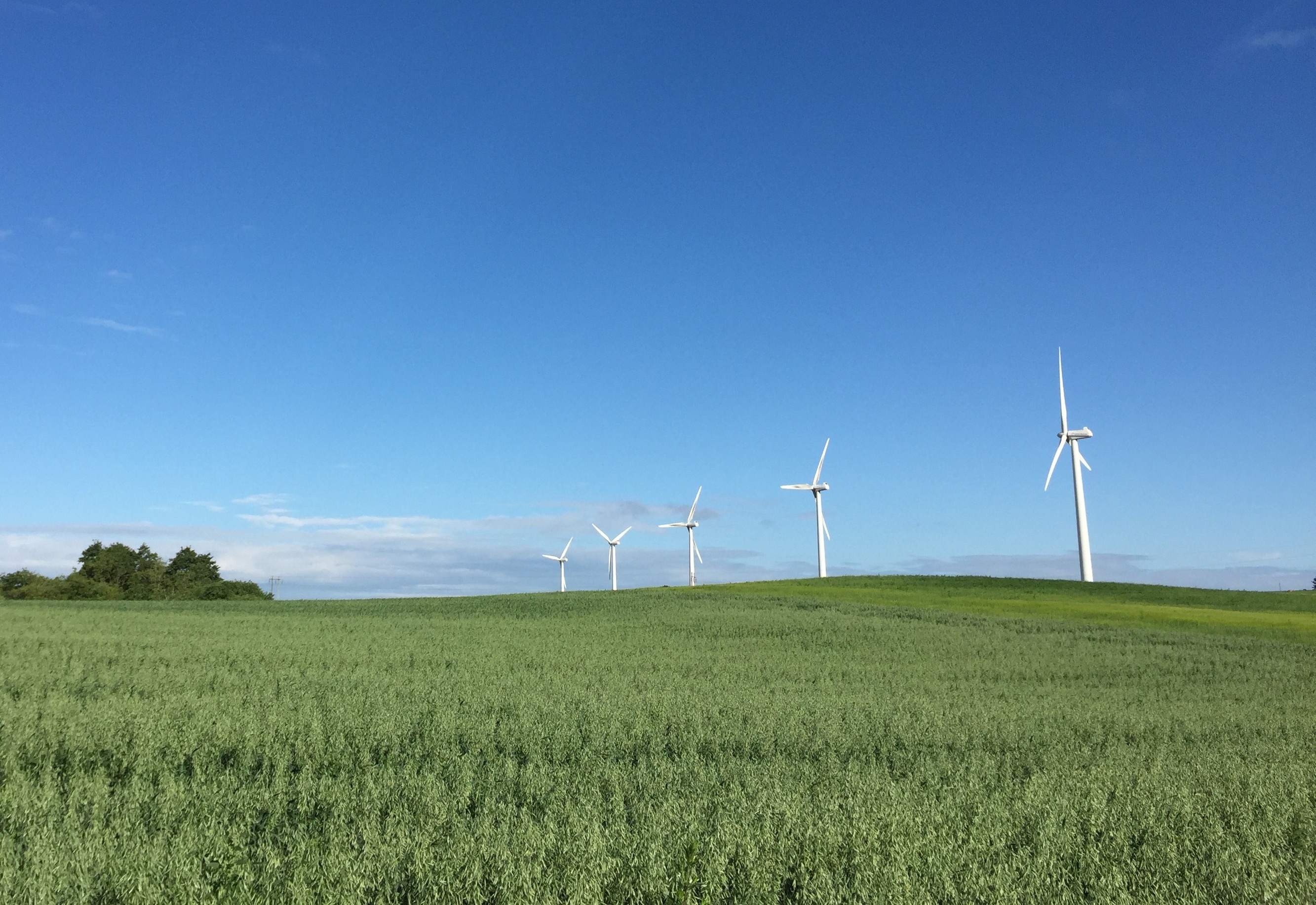 A szélenergia aránya 2005 óta megötszöröződött az uniós áramtermelésben, így már a negyedik legjelentősebb villamosenergia-forrásnak tekinthető a hagyományos hőerőművek (49 százalék), a nukleáris energia (26 százalék) és a vízenergia (12 százalék) mögött.