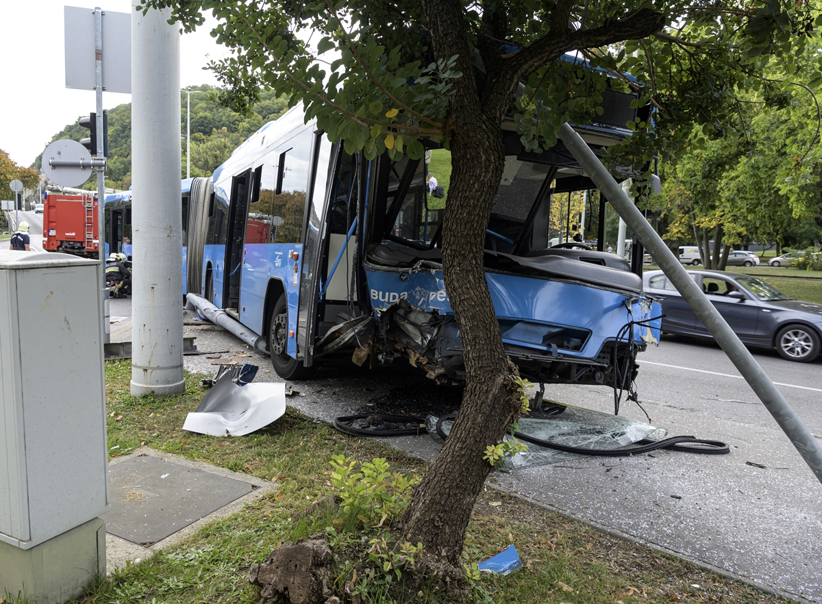 A csuklós Volvo egy lámpaoszlopnak csapódva állt meg (fotók: Szigetváry Zsolt/MTI)