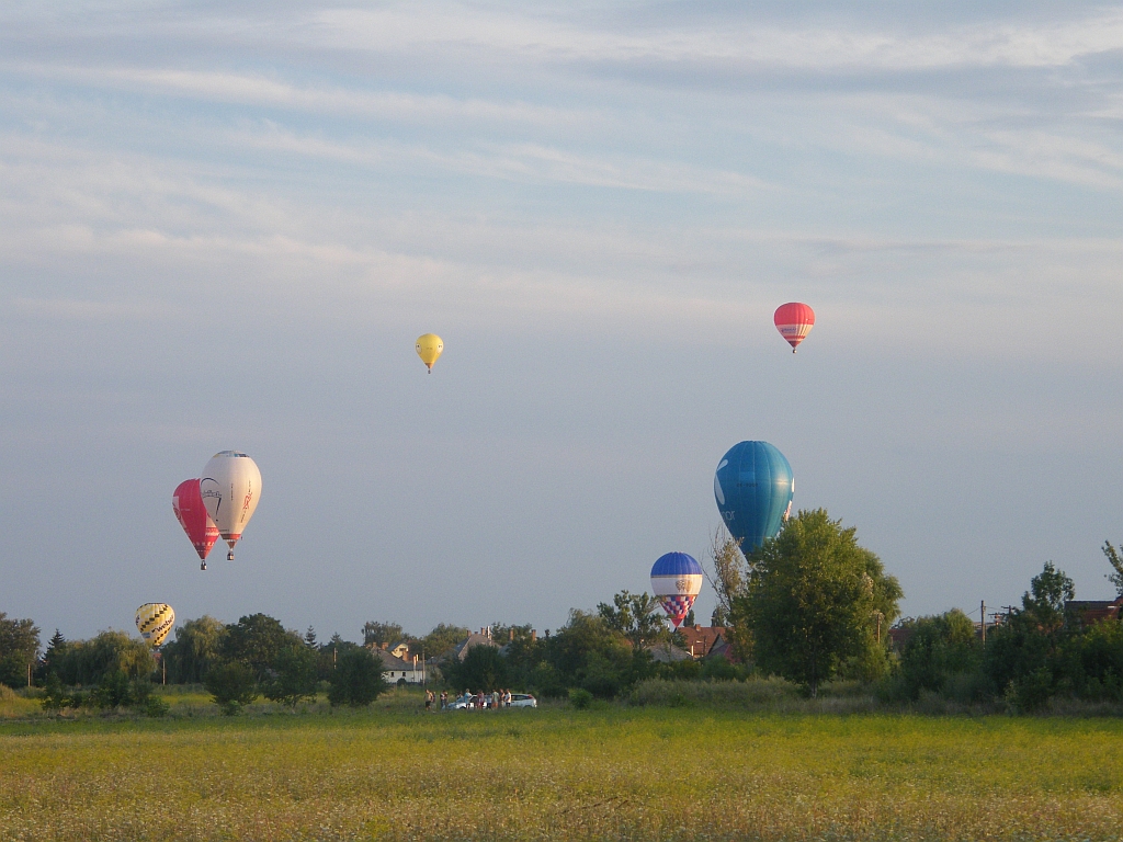 A mezőny <br>(fotók: a szerző)