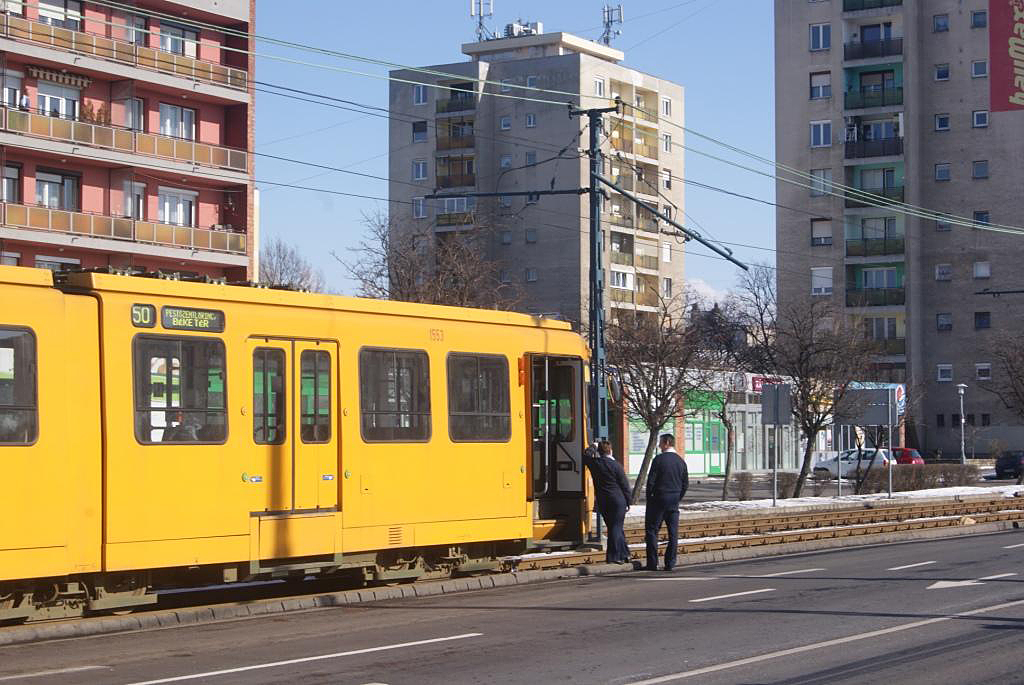 A képre kattintva fotógaléria nyílik<br>(Tóth Péter felvételei)