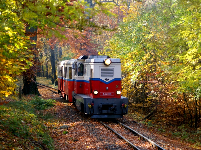 A tanfolyam október 6-án 9.00 órakor keződik Hűvösvölgyben.<br>(fotó: Arnold Balázs)