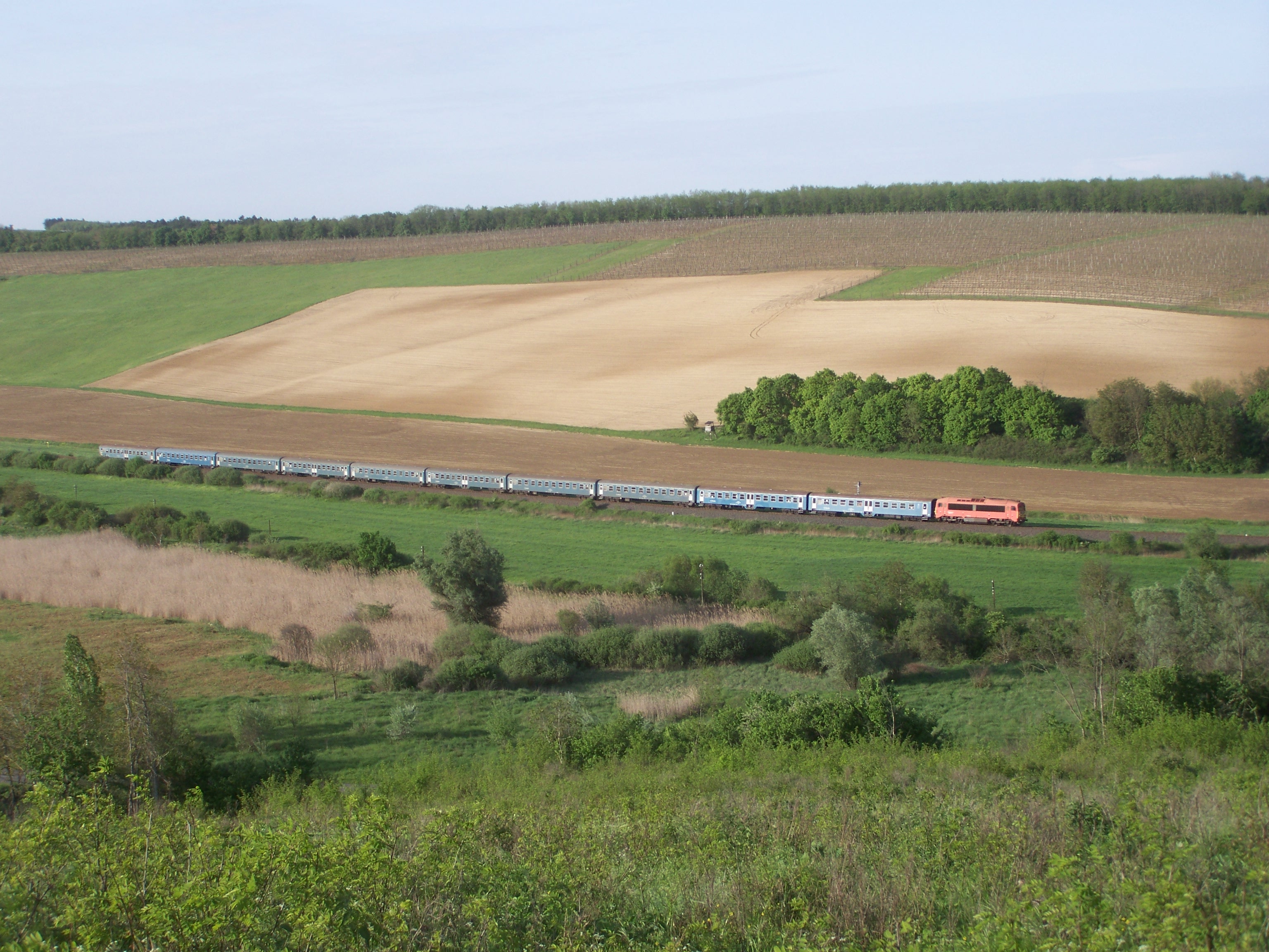 Szebényi László felvételén a mórágyi dombok között száguld az 50-es vonalra nem jellemző méretű vonat